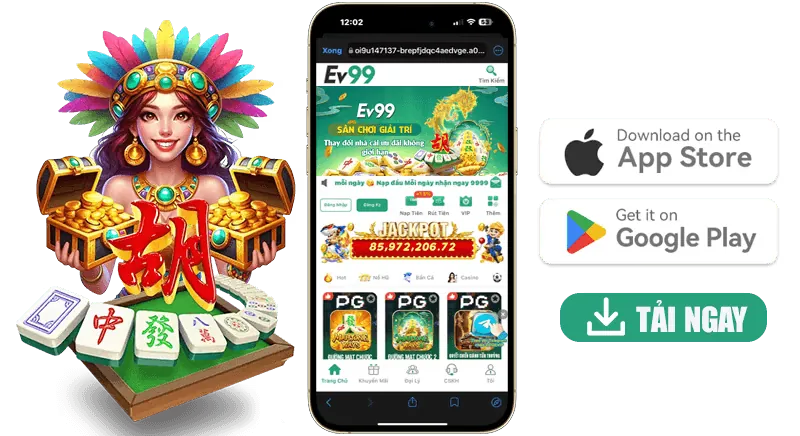 Giải thích HL8 Code và tầm quan trọng của nó